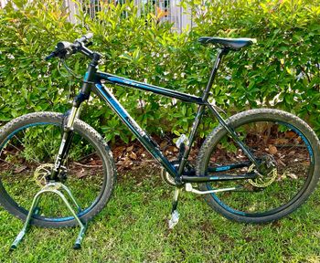 LOMBARDO, Mountain Bike Lombardo Sestriere 300