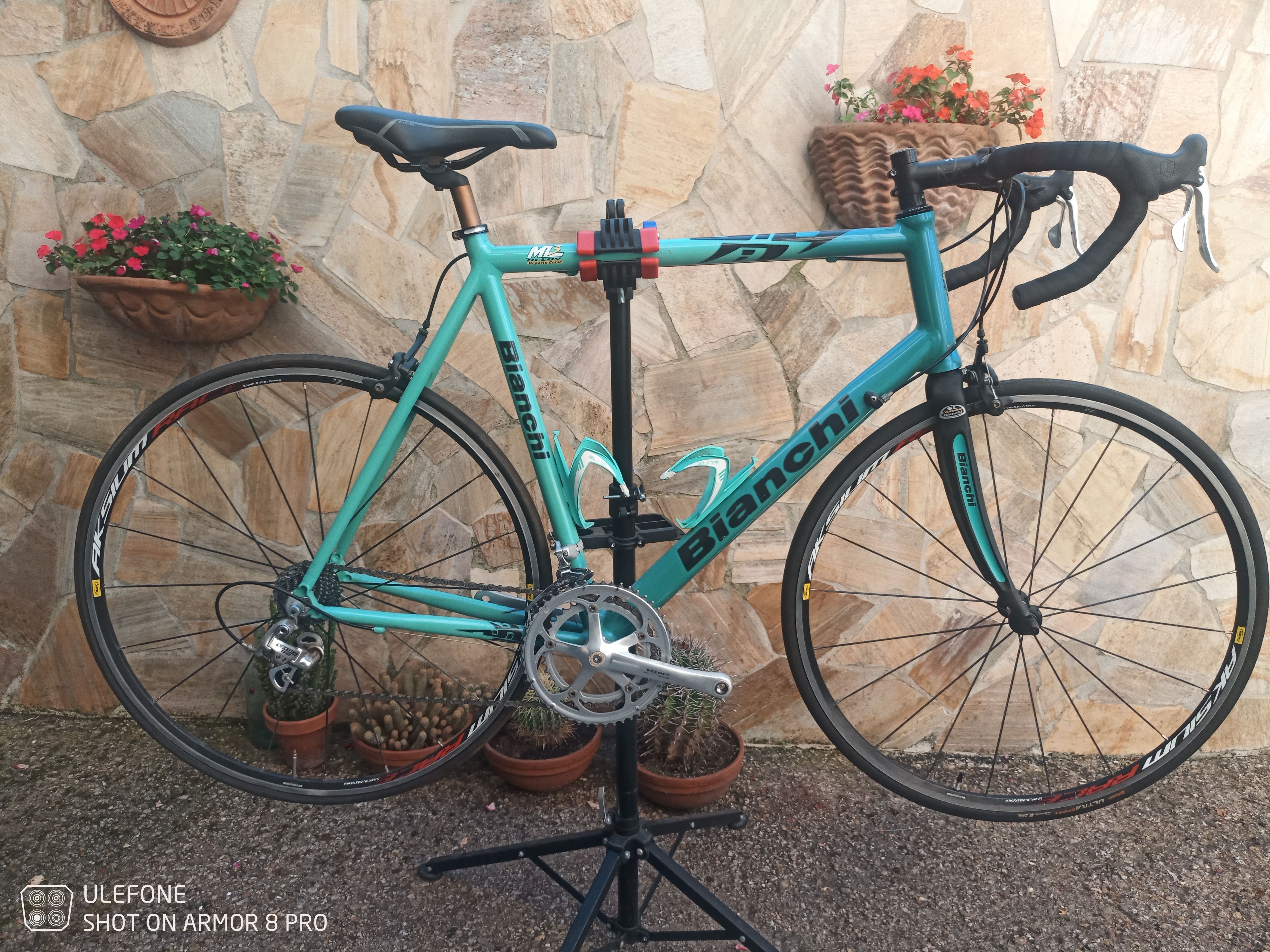 Bianchi Reparto Corse Bici Da Corsa Bianchi In Carbonio Bianchi