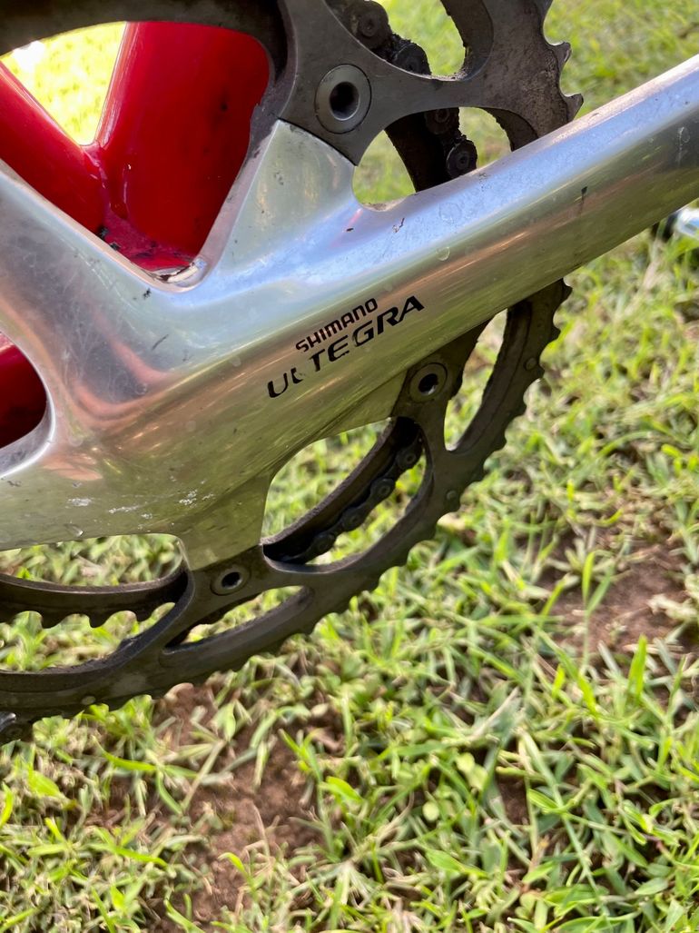 Dynatek Delirio 2022