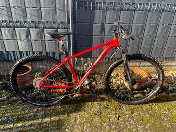 Megamo, NATURAL 30 2021