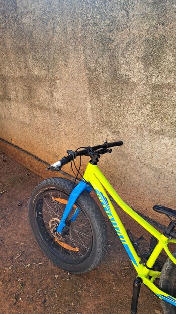 Použité Specialized Fatboy 24 2018 2018 Mountainbike — obrázek 2 z 4