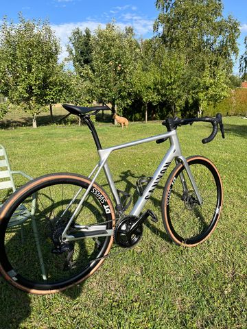 Brugt Canyon Endurace CF 7 Di2 2025 2025 Road & Gravel — billede 13 af 14