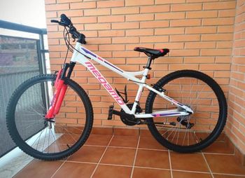 Megamo, OPEN REPLICA LADY 2021