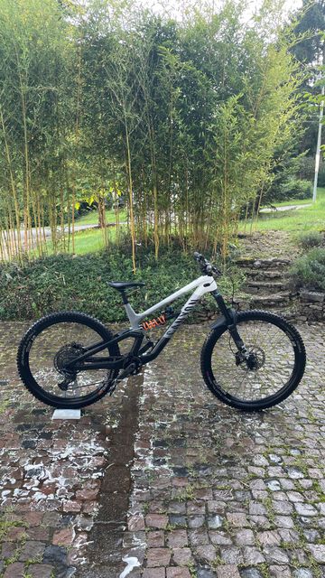 Used Canyon Torque SRAM GX Eagle 2022 Mountainbike, White — image 1 of 6