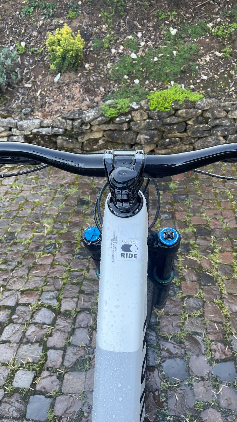 Canyon Torque SRAM GX Eagle 2022 Mountainbike usato, Bianco — immagine 5 di 6
