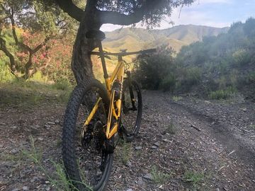 Used BMC Fourstroke SRAM XX Eagle AXS (T-Type) 2020 Mountainbike, Orange — image 6 of 6