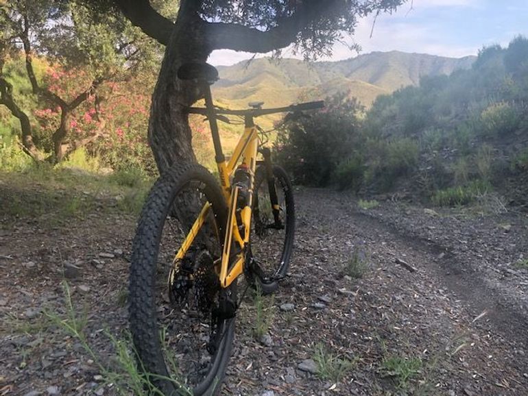 BMC Fourstroke SRAM XX Eagle AXS (T-Type) 2020 Mountainbike d'occasion — image 6 sur 6