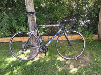 Colnago, C40
