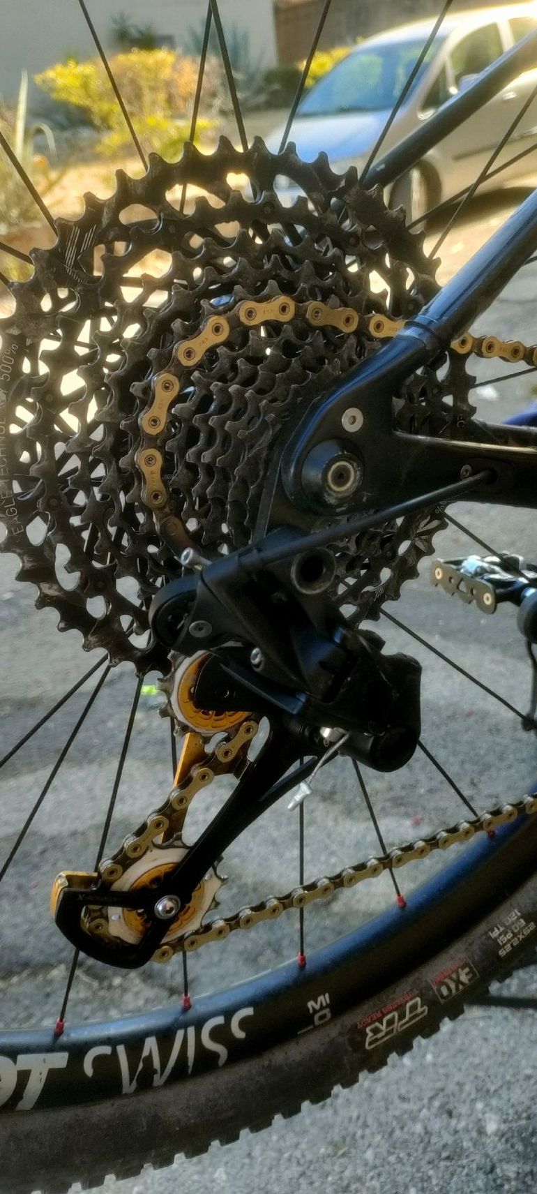 Torpado TORPADO RIBOT N 2017