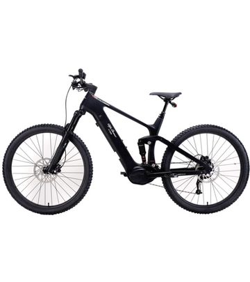 Tweedehands Vintage Electric Alfa Romeo 2025 Mountainbike — afbeelding 2 van 10