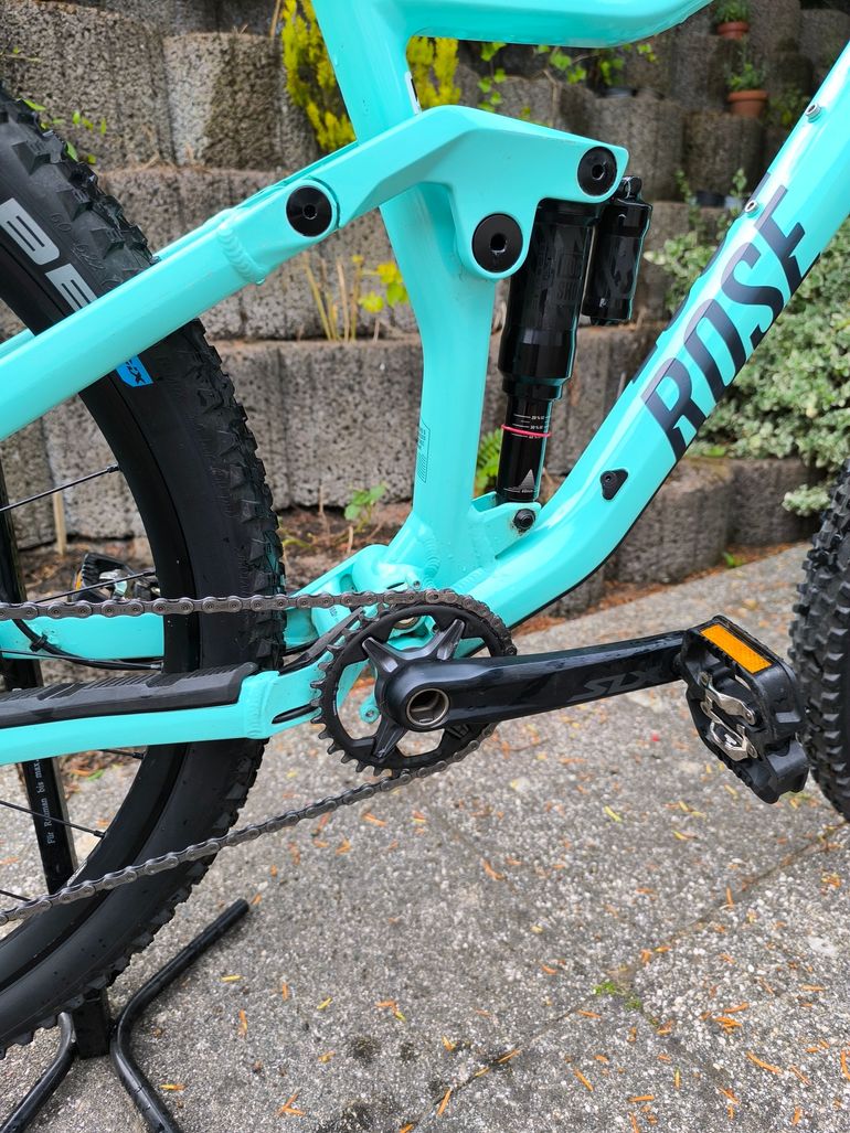 Rose Root Miller 2024 2024