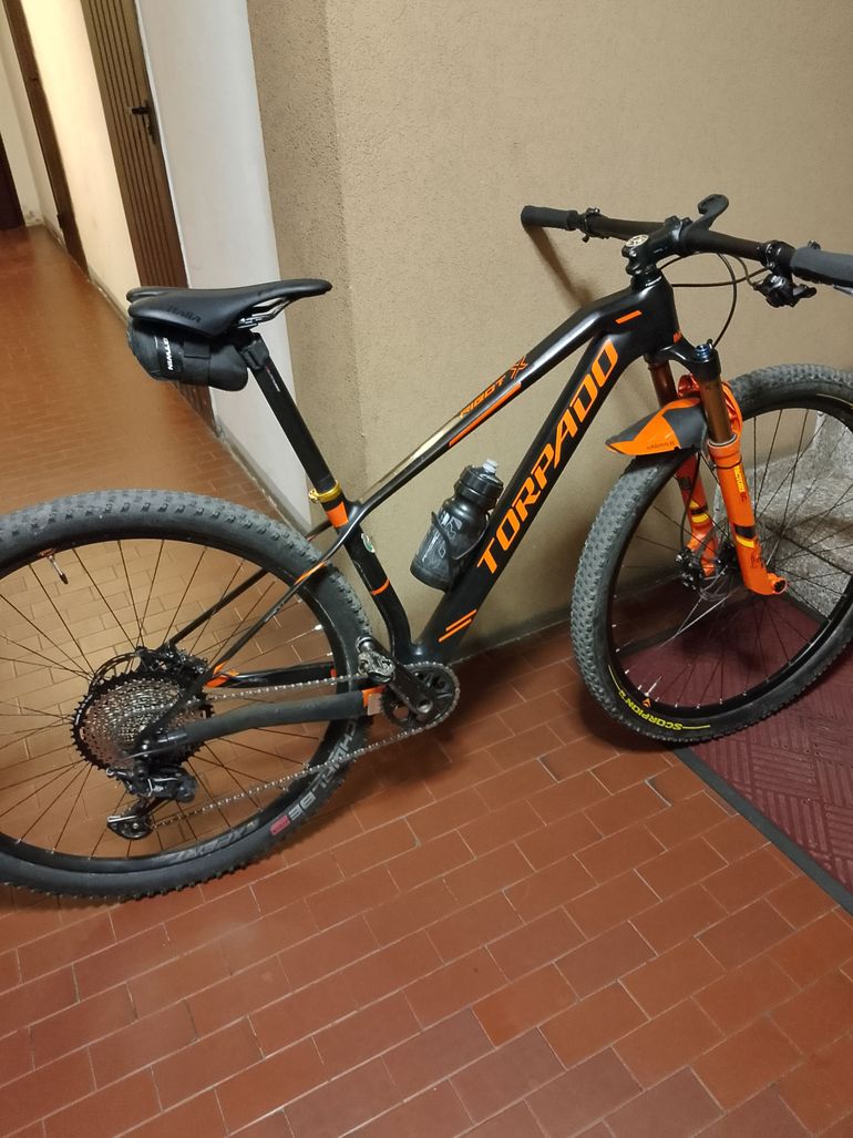 Torpado Ribot X 2020