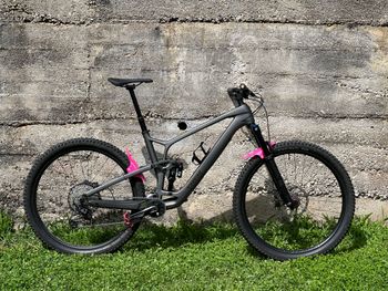 Trek, Fuel Ex 9.7 Gen 6 2024 (2023 Model)
