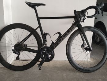 Focus, IZALCO MAX DISC 8.8 2020