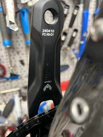 Used Lee Cougan Rampage RE Sram Eagle Transmission X0 2025 Mountainbike, Black — image 14 of 15