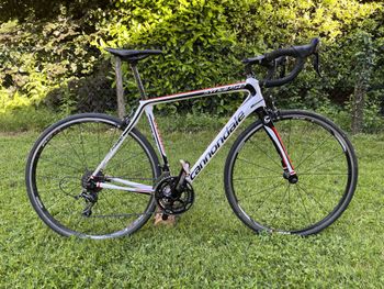 Used Cannondale Synapse Carbon 105 T 2014 Route & Gravel