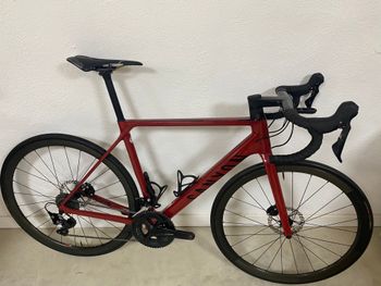 Canyon, Ultimate CF SL 7 Disc 2023