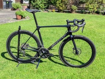 Giant, TCR Advanced Disc 1+ 2024