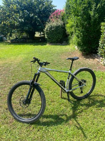 Octane One Hooner 2024