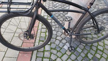 Used Trek Electra Moto 2016 Mountainbike, Black — image 2 of 8