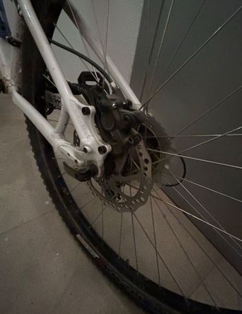 Used Specialized Lynx Mujer 2014 Mountainbike, White — image 3 of 4
