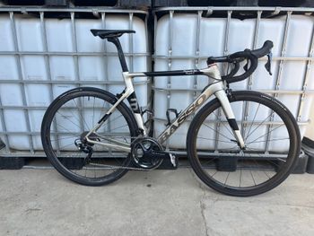 Basso, Diamante Sv Rim 2020