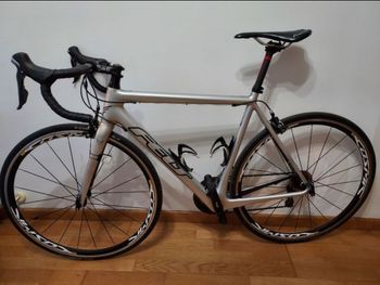 Felt, F4 2014