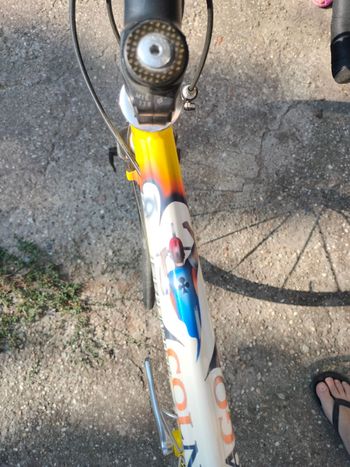 Used Colnago Lux Dream 2000 Road & Gravel, Orange — image 6 of 6