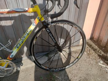 Used Colnago Lux Dream 2000 Road & Gravel, Orange — image 3 of 6