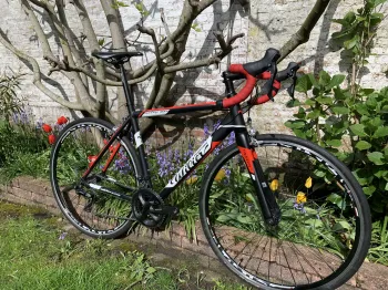 Wilier - Montegrappa, 2020
