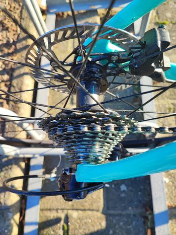 Used Bianchi Oltre Xr 3 Disc Campagnole Potenza 2022 Road & Gravel, Green — image 3 of 6