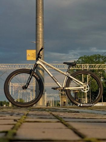 Used Rose The Bruce 2 2024 2024 Mountainbike, Light Gray, 26 — image 1 of 3
