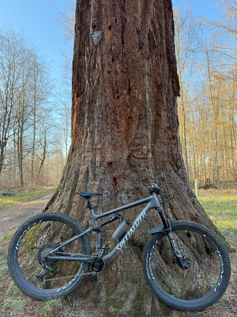 Used Specialized Evo Expert 2022 Mountainbike, Light Gray — image 3 of 3