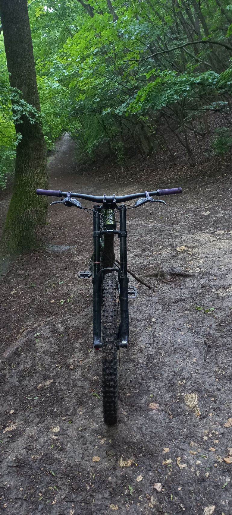 Used Giant Glory 1 2020 2020 Mountainbike, Green, 27.5 — image 2 of 6