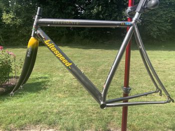 Litespeed, Ultimate Titanium 3/2.5 6/4 Look Carbon Frameset
