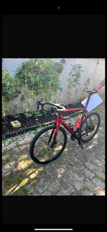 Trek, Émonda SLR 6 Di2 2023