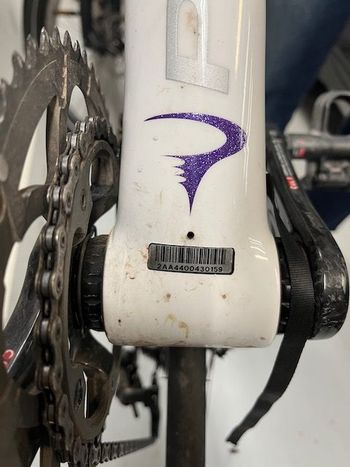 Used Pinarello Dogma 60.1 2010 2010 Road & Gravel, White — image 6 of 6