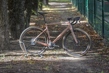 FLOW BIKE ベージュ Rose Backroad FF Force AXS XPLR M/L 2025