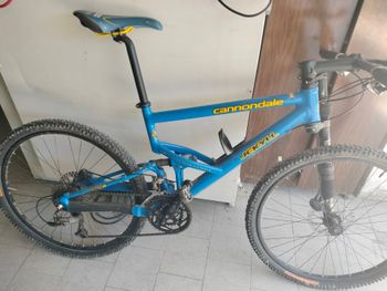 Cannondale, Cannondale Jekyll Bi Ammortizzata