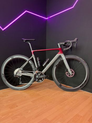 Focus, IZALCO MAX 8.9 2024