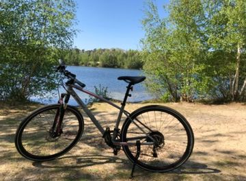 Used Specialized Ariel 2018 Road & Gravel, Light Gray — image 4 of 4