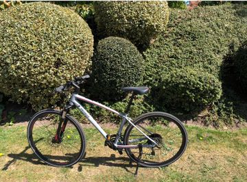 Used Specialized Ariel 2018 Road & Gravel, Light Gray — image 2 of 4