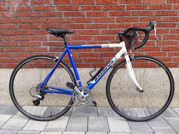 Batavus, Sport