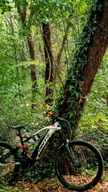 Brugt Fantic XEF SRAM GX Eagle 2022 MTB