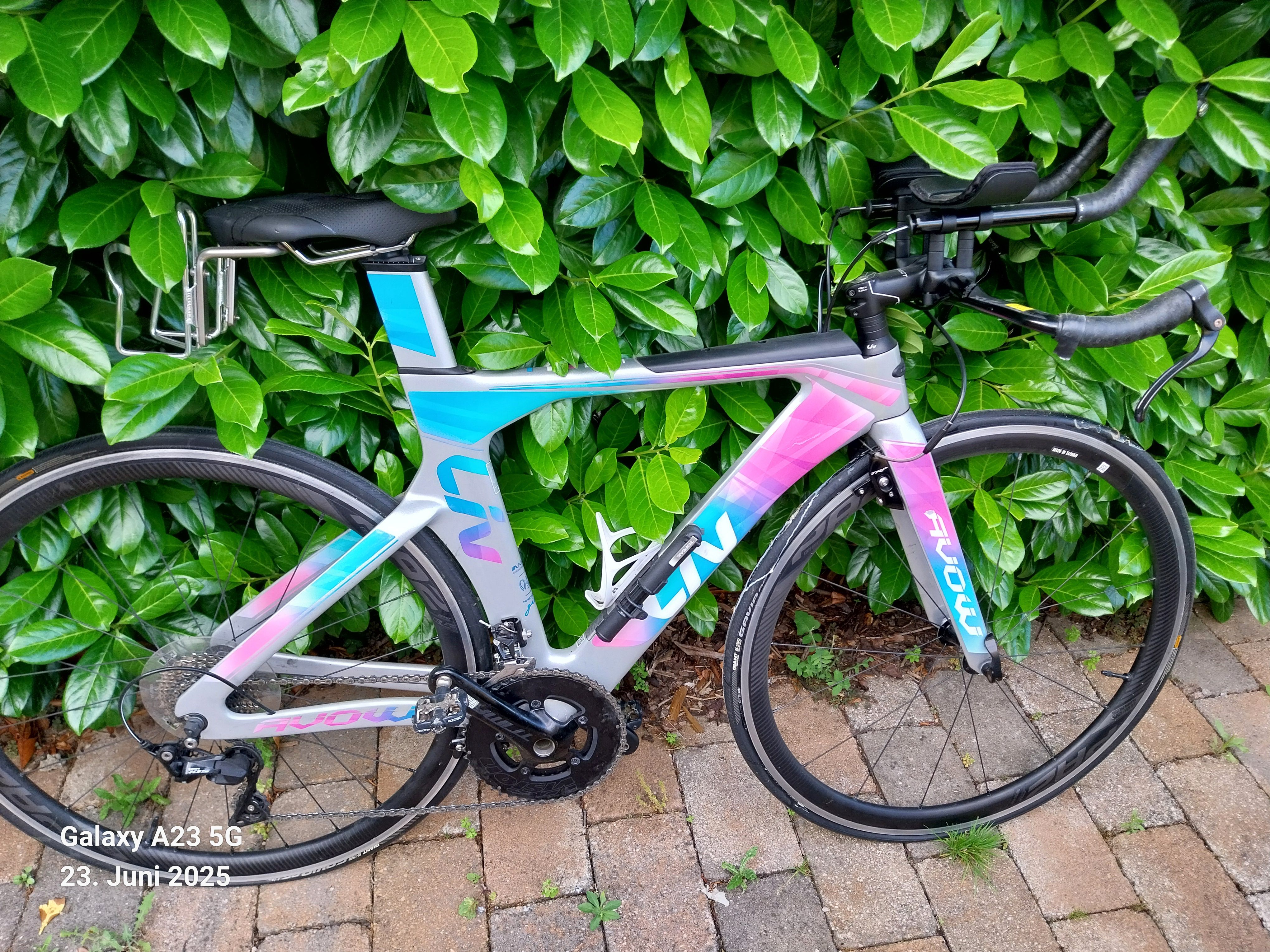 Liv Avow Advanced 2019 2019