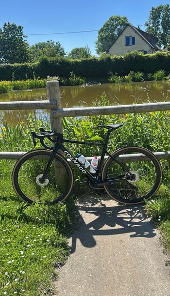 Colnago, V4Rs Disc Slooping Rvbo