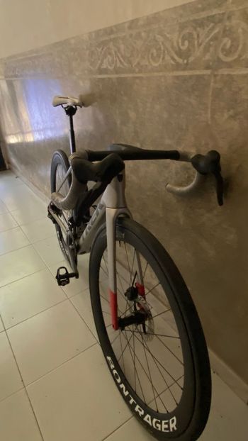 Used Trek Madone SL 7 Gen 8 2025 2025 Road & Gravel — image 12 of 13