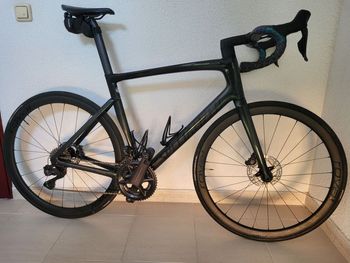 Gebrauchtes Specialized Sl7 2023 Frameset 2023 Road & Gravel, Grün — Bild 7 von 7