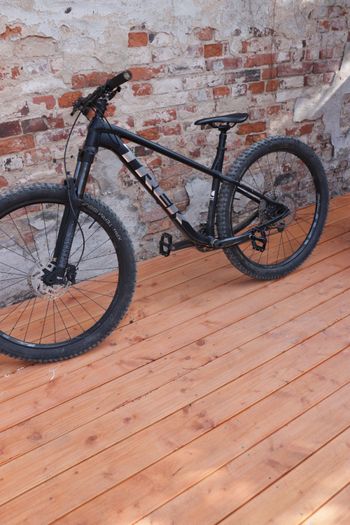 Trek Roscoe 2023 2023