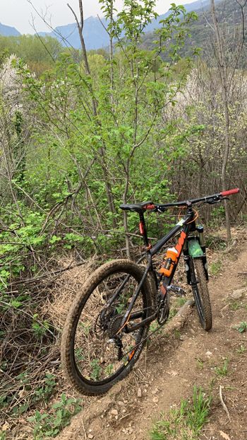 KTM, ULTRA 1964 PRO 29 2023